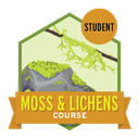 Moss & Lichen Student