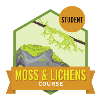 Moss & Lichen Student