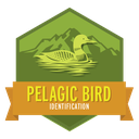 Pelagic Bird Identification