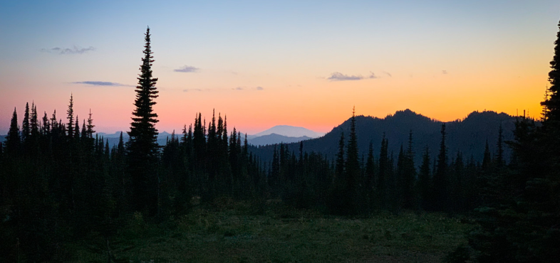 Volunteer with Family Activities